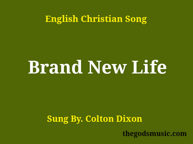 brand new life song who the boss