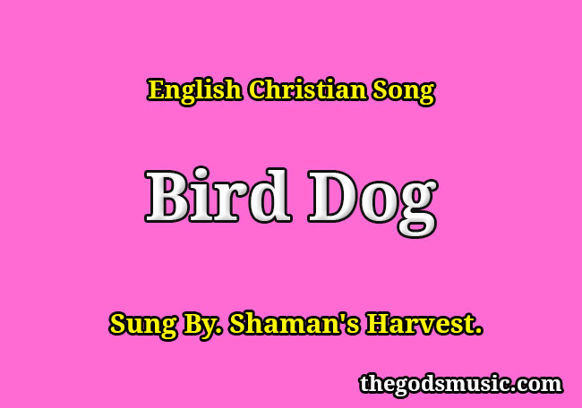 bird-dog-song-lyrics-christian-song-chords-and-lyrics